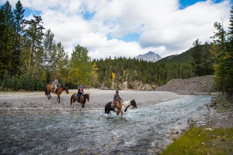 Parco nazionale di Banff: giro a cavallo di 1 ora sul fiume Spray