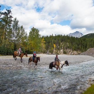Banff National Park: 1-Hour Spray River Horseback Ride