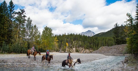 Banff National Park: 1-Hour Spray River Horseback Ride