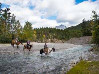 Banff National Park: 1-stündige Reitfahrt auf dem Spray River Banff National Park: 1-stündige Reitfahrt auf dem Spray River