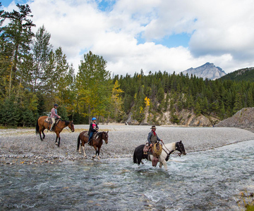 The BEST Banff Tours and Things to Do in 2024 - FREE Cancellation ...