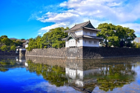 Tokio: privétour van een hele dag met gids met nationale licentie6-uur durende rondleiding