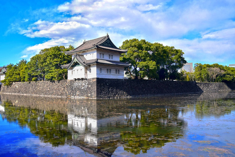 Tokio: privétour van een hele dag met gids met nationale licentie6-uur durende rondleiding