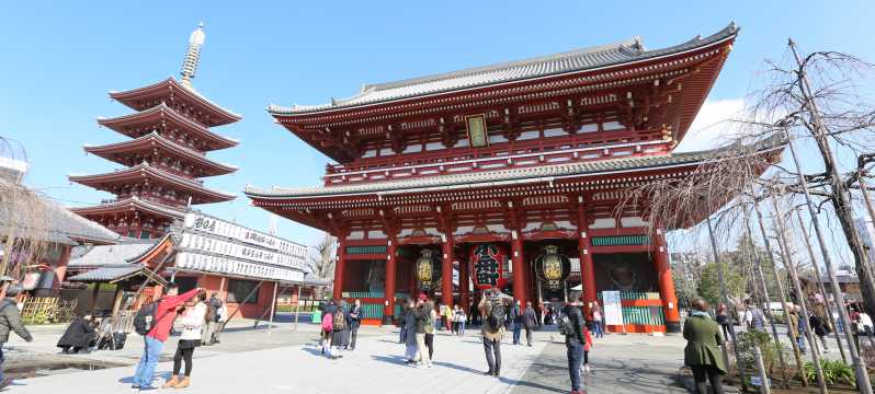 Tokio: Ganztägige private Tour mit national lizenziertem Guide
