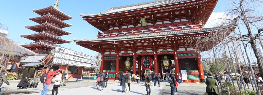 Tokio: privétour van een hele dag met gids met nationale licentie
