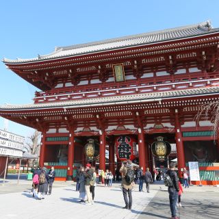 Tokyo: Full-Day Private Tour with Nationally-Licensed Guide