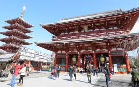 Tokyo: Private City Highlights Tour with Local Guide