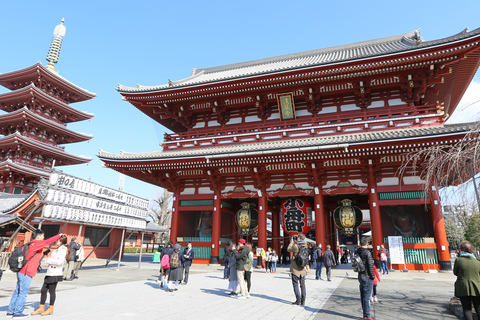 Tokio: Ganztägige private Tour mit national lizenziertem Guide6-stündige Tour