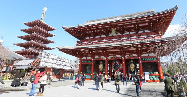Tokio: privatni obilazak znamenitosti grada s lokalnim vodičem