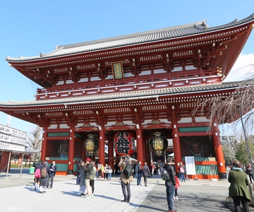 Tokyo: Private City Highlights Tour with Local Guide