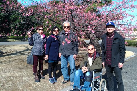 Tokio: Ganztägige private Tour mit national lizenziertem Guide6-stündige Tour