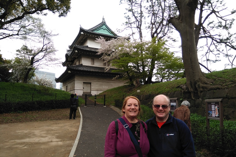 Tokio: Ganztägige private Tour mit national lizenziertem Guide6-stündige Tour