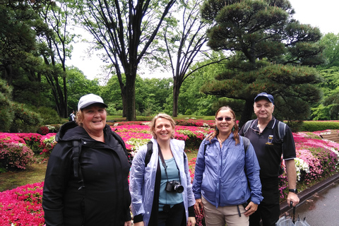 Tokyo: Private City Highlights Tour with Local Guide6-Hour Private Walking Tour