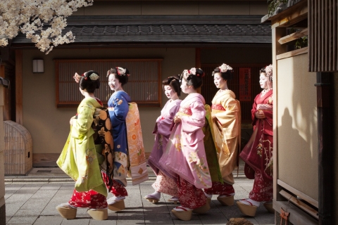 Kyoto: privétour met lokale gelicentieerde gidsRondleiding van 4 uur