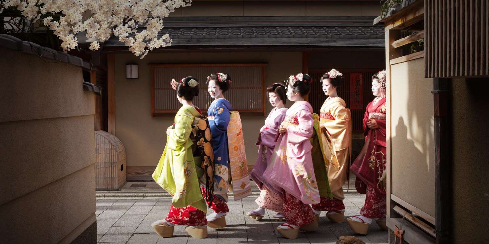 Kyoto experience — temples, geisha, bamboo grove — image 9