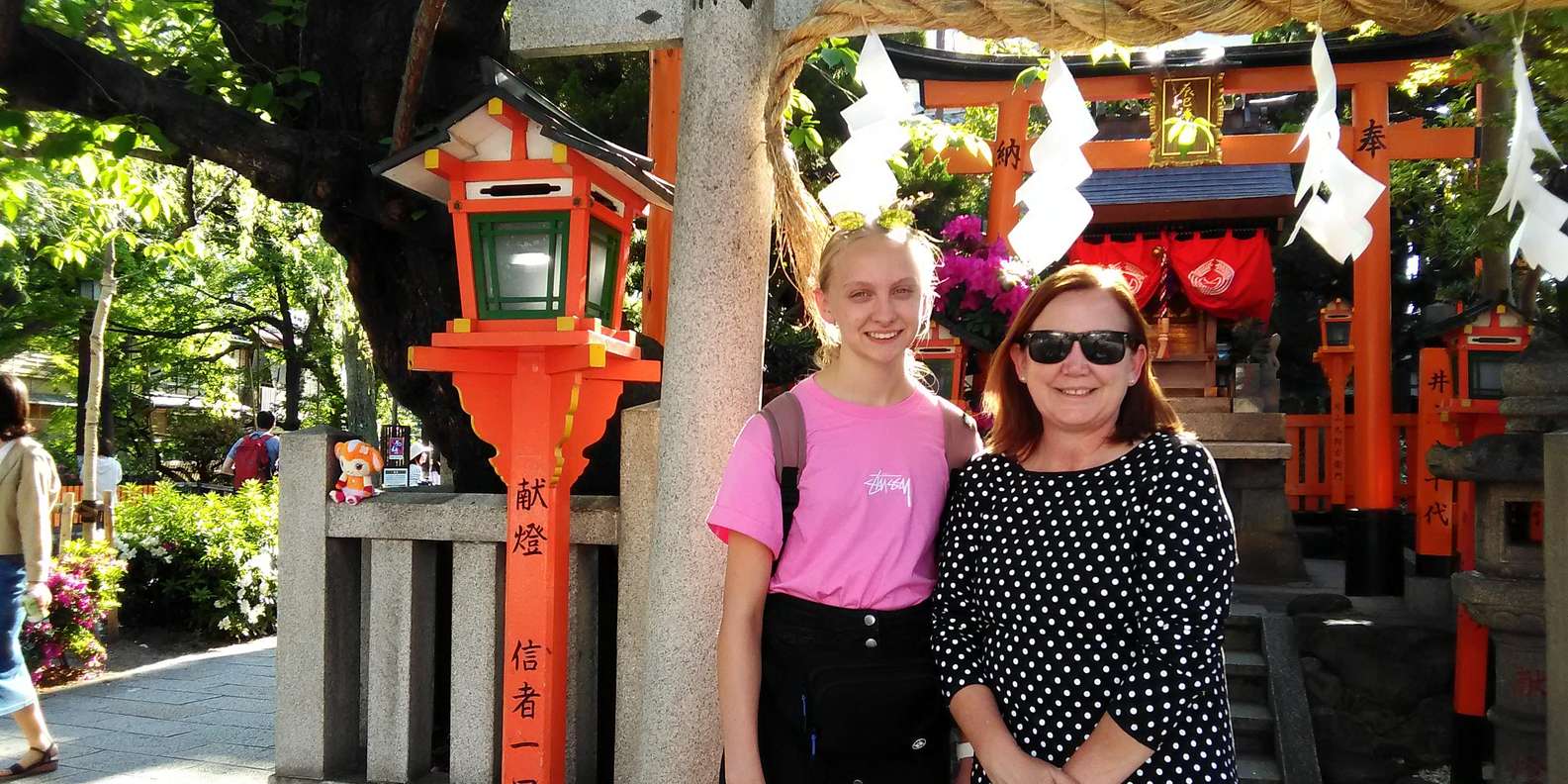 Kyoto experience — temples, geisha, bamboo grove — image 10