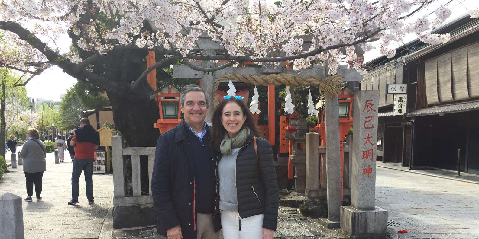 Kyoto experience — temples, geisha, bamboo grove — image 2