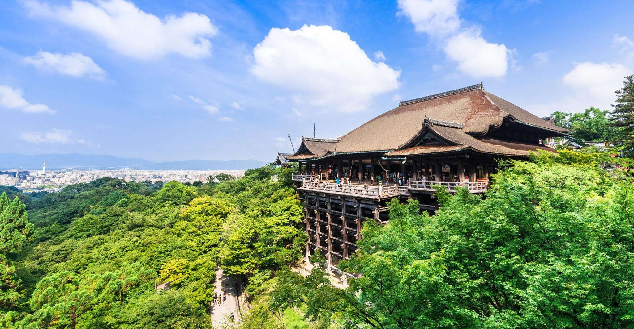 Kyoto: Private Tour with Local Licensed Guide