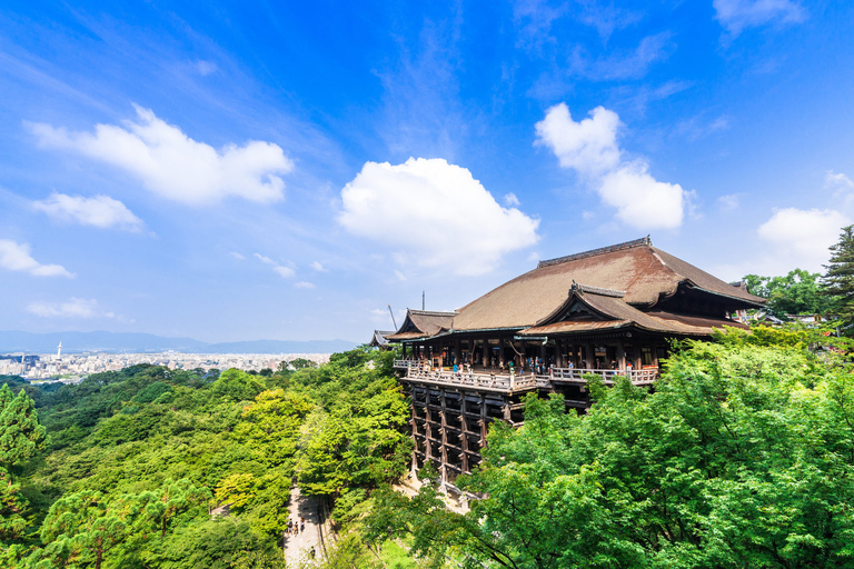 Kyoto: Private Tour with Local Licensed Guide 6-Hour Tour