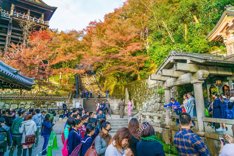 Kyoto: tour privado com guia local licenciadoPasseio de 4 horas