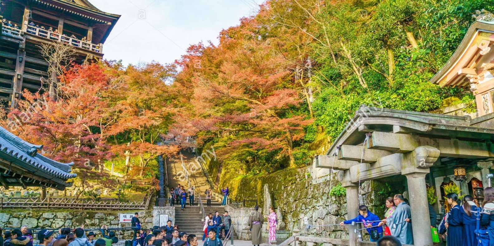 Kyoto experience — temples, geisha, bamboo grove — image 11