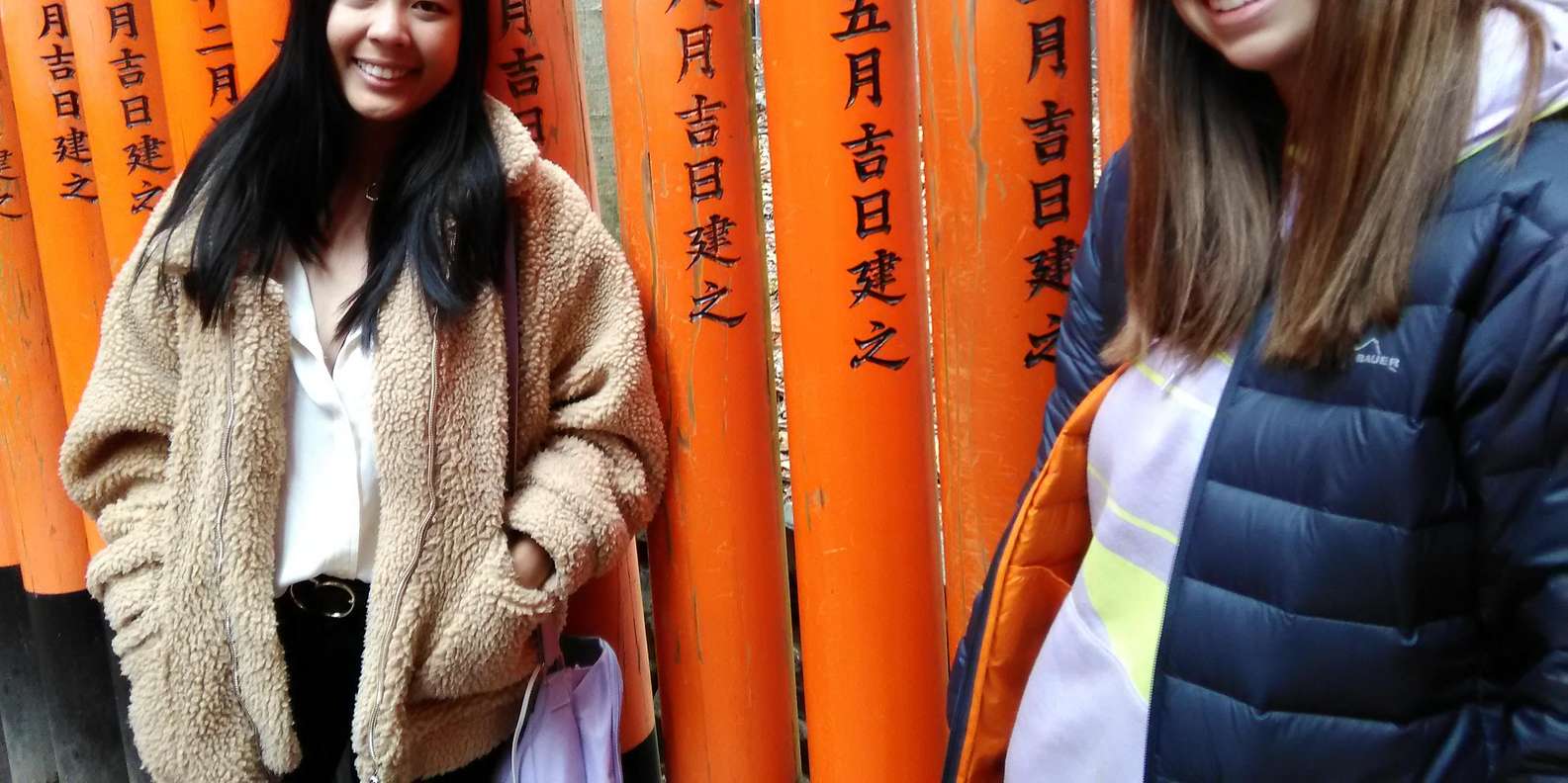 Kyoto experience — temples, geisha, bamboo grove — image 20