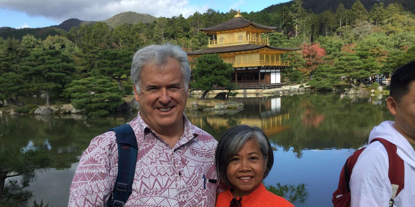 Kyoto experience — temples, geisha, bamboo grove — image 17