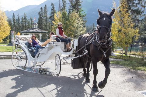 Banff: Private Horse-Drawn Carriage Ride