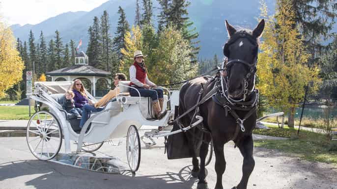 banff private horsedrawn carriage ride