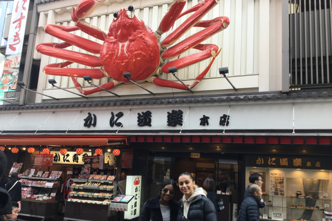 Osaka: Ganztägiger privater geführter Rundgang6-stündige Tour