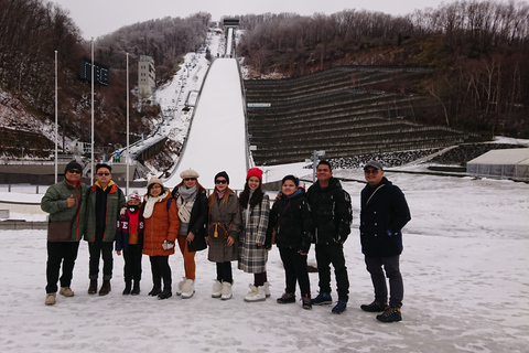 Sapporo: visita guiada privada personalizadaTour de 4 horas