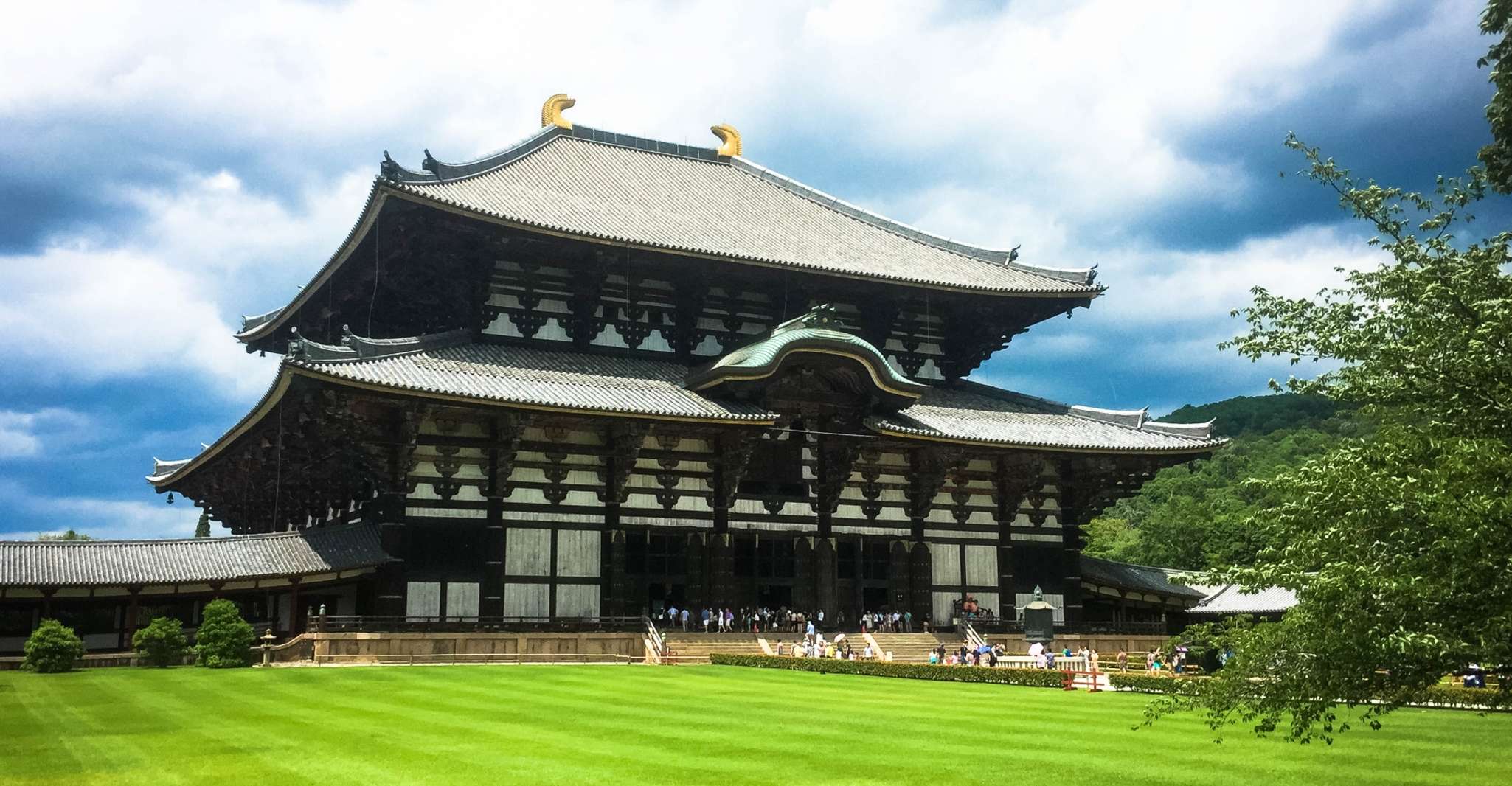 Nara, Private Tour met Private Guide - Hizvo