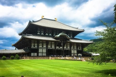 Nara: Private Tour mit privatem Guide8-stündige Tour mit Abholung in Osaka