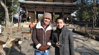 Nara, Visite privée avec guide privé - Hizvo