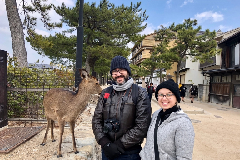 Nara: privétour met privégids8-uur durende tour met ophaalservice door Osaka