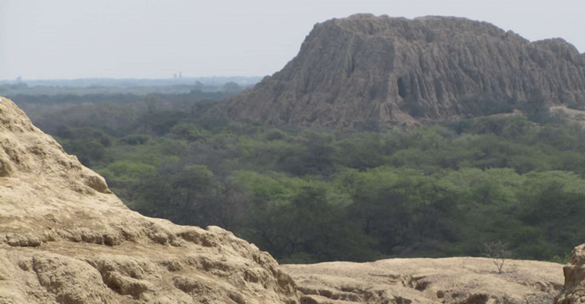 Chiclayo, Pomac Forest Historic Sanctuary & Sican Museum - Housity