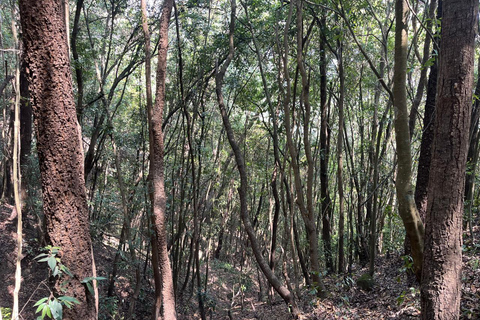 Kathmandu: escursione guidata di un giorno da Gurjuvanjyang a BhubaneshworiKathmandu: Escursione guidata di un giorno da Gurjuvanjyang a Bhubaneshwori