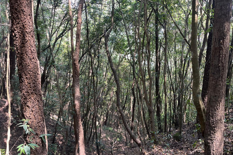 Kathmandu: escursione guidata di un giorno da Gurjuvanjyang a BhubaneshworiKathmandu: Escursione guidata di un giorno da Gurjuvanjyang a Bhubaneshwori