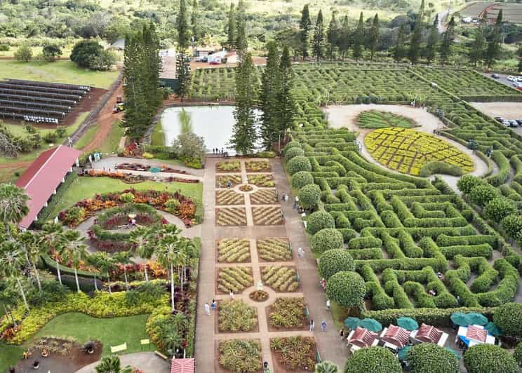 Oahu: Dole Plantation and Haleiwa OR Grand Circle Island