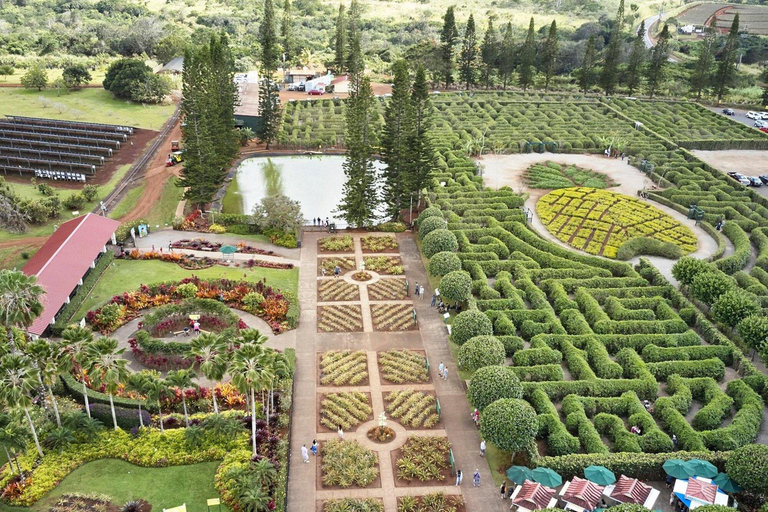 Oahu: Haleiwa &amp; Dole Plantation Deluxe Tour