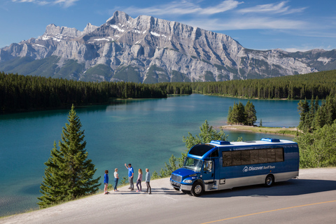 Banff: Abendliche Wildtier-Safari Geführte Tour