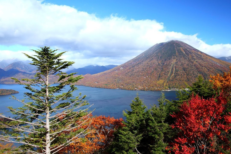 Nikko : visite guidée privée avec guide localCircuit de 6 heures avec ramassage à Nikko