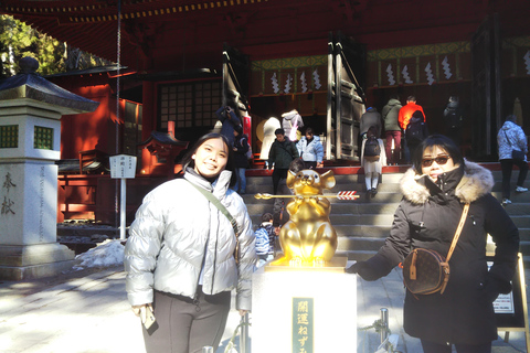 Nikko: Private Tour zu Fuß mit ortskundigem Guide6-stündige Tour mit Abholung in Nikko