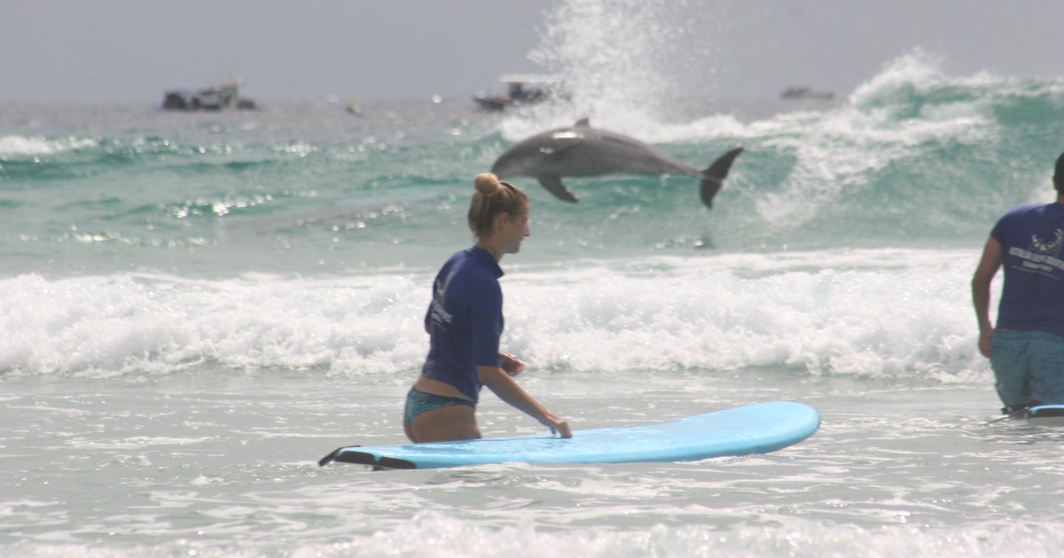 Miami Group Surf Lesson GetYourGuide