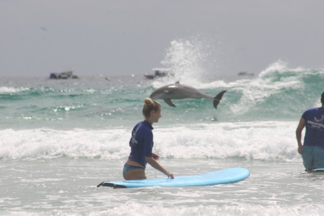 Visit Miami Group Surf Lesson in Gold Coast