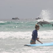 Miami: Group Surf Lesson