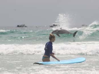 Miami: Group Surf Lesson