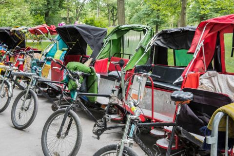 Central Park : visite privée en vélo-taxi