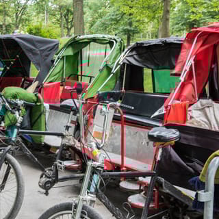 Central Park: Private Pedicab Tour