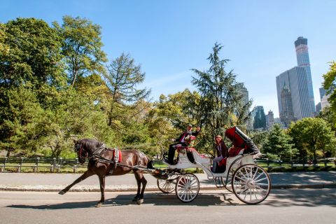 Central Park: tour privato con carrozza trainata da cavalli